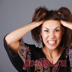 Холестириновые бредни