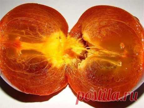 ЗАГОВОР, ЧТОБЫ ИЗГНАТЬ ЗЛО ИЗ ВАШЕГО ДОМА И НАЛАДИТЬ ЖИЗНЬЕсли жизнь не ладится, и в доме происходит что-то нехорошее , сделайте так. Выберите время . когда никого не будет дома. Возьмите красную нитку , ленту или верёвку, завяжите на ней узел и положите на порог. Пусть полежит не менее часа. Затем возьмите эту ленту, положите в стеклянную банку, залейте святой водой , и наговорите шёпотом на эту воду( по памяти ) : 
,, Святая вода, избавь меня от нечисти поганой, уведи зл...