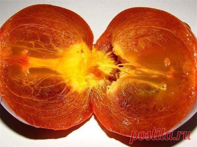 ЗАГОВОР, ЧТОБЫ ИЗГНАТЬ ЗЛО ИЗ ВАШЕГО ДОМА И НАЛАДИТЬ ЖИЗНЬЕсли жизнь не ладится, и в доме происходит что-то нехорошее , сделайте так. Выберите время . когда никого не будет дома. Возьмите красную нитку , ленту или верёвку, завяжите на ней узел и положите на порог. Пусть полежит не менее часа. Затем возьмите эту ленту, положите в стеклянную банку, залейте святой водой , и наговорите шёпотом на эту воду( по памяти ) : 
,, Святая вода, избавь меня от нечисти поганой, уведи зл...