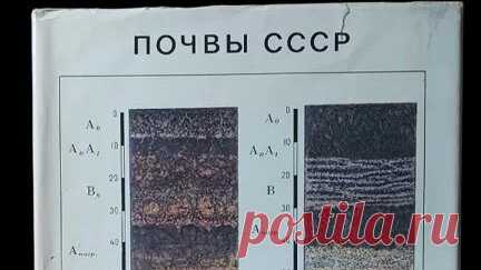 Книги Букинист Москва | Книга Почвы СССР. #book #книги #книгипосаморазвитию #СССР #почва #ussr купить букинистику на авито | Дзен