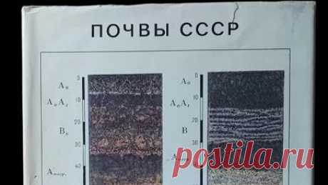 Книги Букинист Москва | Книга Почвы СССР. #book #книги #книгипосаморазвитию #СССР #почва #ussr купить букинистику на авито | Дзен
