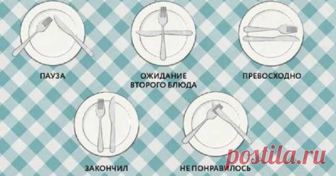 10 правил этикета для воспитанного человека Правильное поведение в обществе — это 100% результат успеха каждого делового человека. Ведь знание правил этикета, необходимо для роста по карьерной лестнице и продвижения в социальной сфере. Также, д