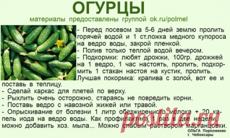 (4) Одноклассники