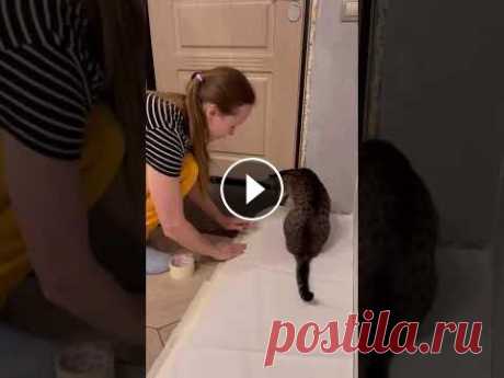 Ремонт в прихожей  Repair in the hallway #shorts Ремонт в прихожей Repair in the hallway #shorts...