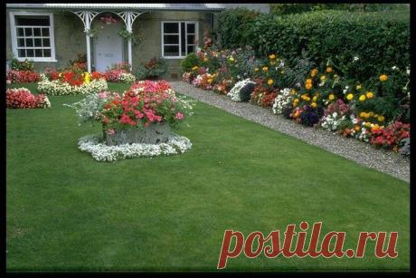 Трава у дома / Домоседы