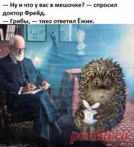 Ёжик и Фрейд (Анна Ртищева 2) / Стихи.ру