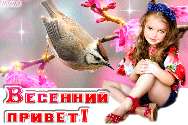 Архив открыток отправленных 2 Марта 2016 года. Добавили: Леонора Елена Пере, Юрий Соловьев, Алёна Лешкова, Александр , Алла Васильева, Володя Щиборовский, Nina Konisidi