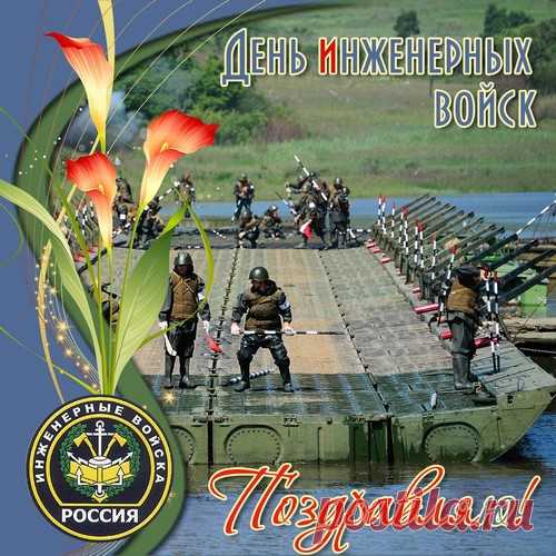Инженерные войска – эталон сноровки, силы,
На службе вы никем незаменимы,
Чтобы минировать поля уменье надо,
Благодарность вам от всех пусть будет награда.