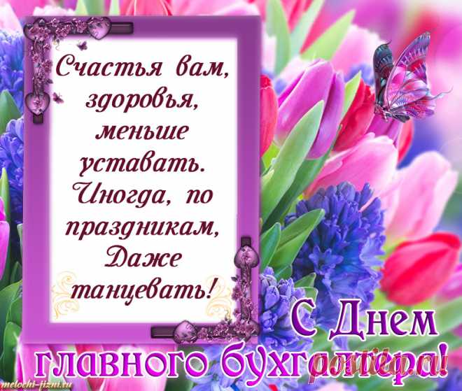 С днем главного бухгалтера поздравляю,
Быть гуру в своей профессии желаю.
Большой любви к работе и отчетам,
Денег больших, что не поддадутся счетам.