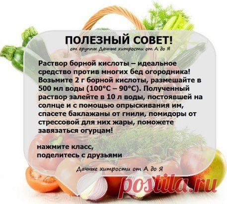 (99) Одноклассники