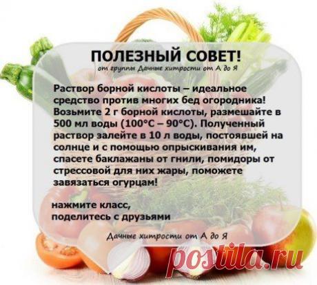 (99) Одноклассники