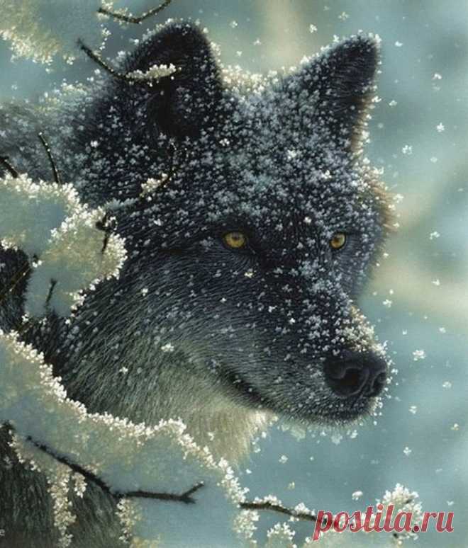Живая природа
