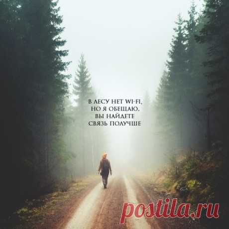 Аня Емельянова