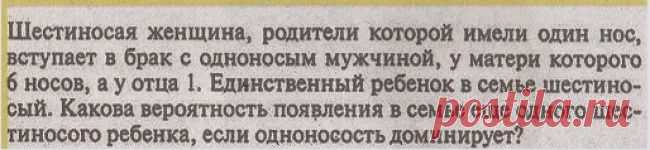 22 сумасшедших ляпа из школьных учебников
