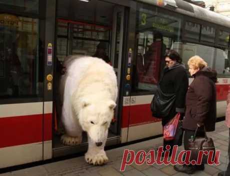 Новости