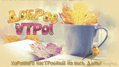 e72d829s20e730bm0nebchamdfh0u4dl.gif (645×363)