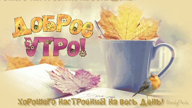 e72d829s20e730bm0nebchamdfh0u4dl.gif (645×363)