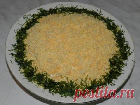 Салат Прага с курицей и черносливом: готовим правильно