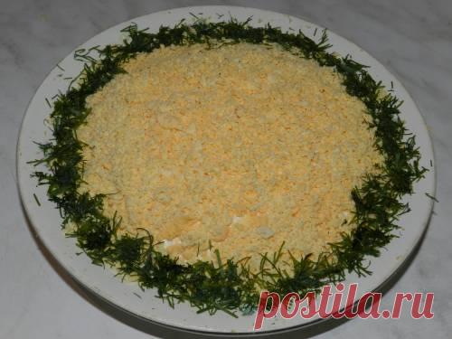 Салат Прага с курицей и черносливом: готовим правильно