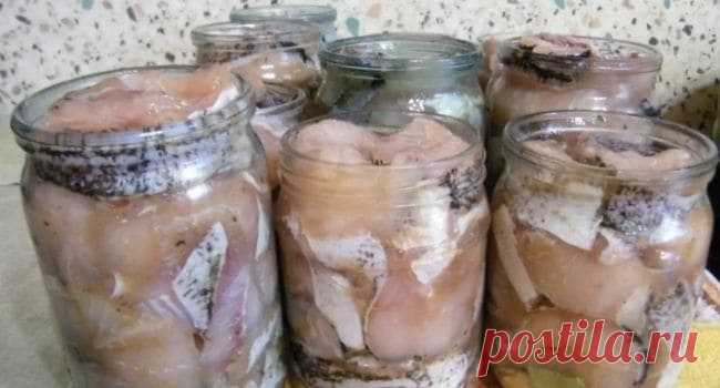 Быстрый рецепт засолки речной рыбы прямо на рыбалке. Через 3 часа можно кушать