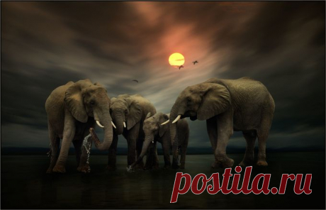 Wall - ViewBug.com