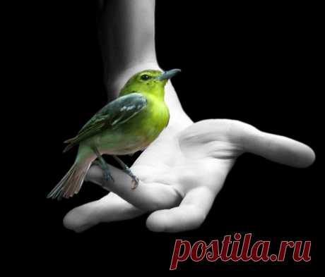 Не обо всем надо говорить коротко — о многом лучше бы помолчать...