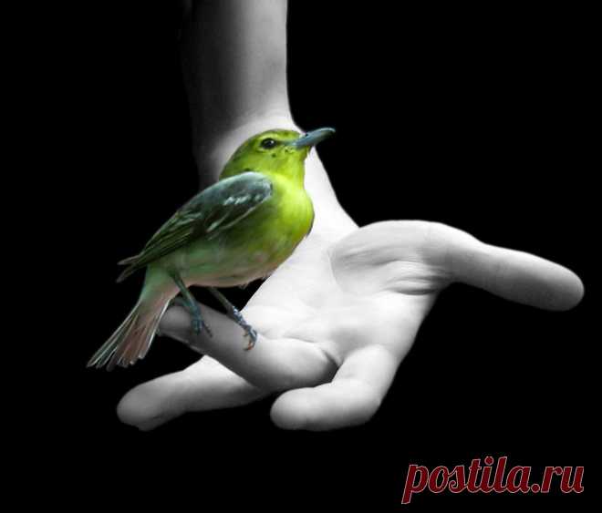 Не обо всем надо говорить коротко — о многом лучше бы помолчать...