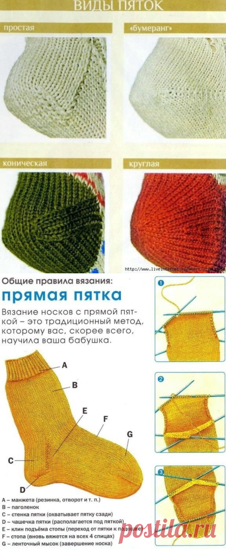 Виды пяток