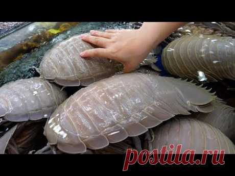 Коллекция японских и вьетнамских морепродуктов 2023 года