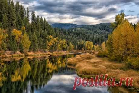 Fall Finery Hello Autumn, my favorite season.  Wish it lasted longer.  Here's a view of some typical fall foliage along north Idaho's Coeur d'Alene river.  We do have more evergreens's than deciduous trees here but those we do have pop nicely amidst the greens of the conifers.    Just returned from a wonderful fall outing, camping in central Idaho and western Montana.  Gotta love those 20 degree sunrise experiences.  Thanks for taking a look.  Always appreciated!