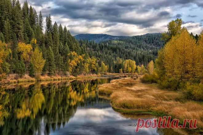 Fall Finery Hello Autumn, my favorite season.  Wish it lasted longer.  Here's a view of some typical fall foliage along north Idaho's Coeur d'Alene river.  We do have more evergreens's than deciduous trees here but those we do have pop nicely amidst the greens of the conifers.    Just returned from a wonderful fall outing, camping in central Idaho and western Montana.  Gotta love those 20 degree sunrise experiences.  Thanks for taking a look.  Always appreciated!
