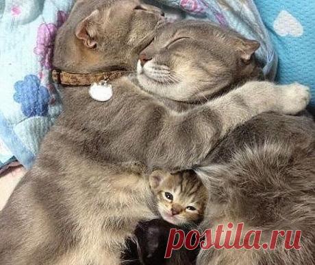 ой, классно