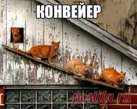 конвейер