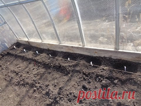 ГОТОВЛЮ ТЕПЛИЦУ К ВЫСАДКЕ ТОМАТОВ. Ольга Чернова.