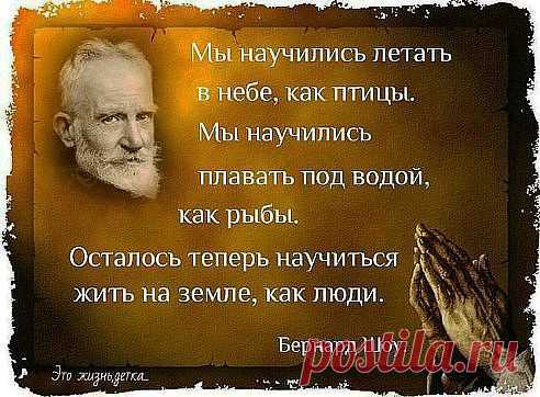 (12) Одноклассники