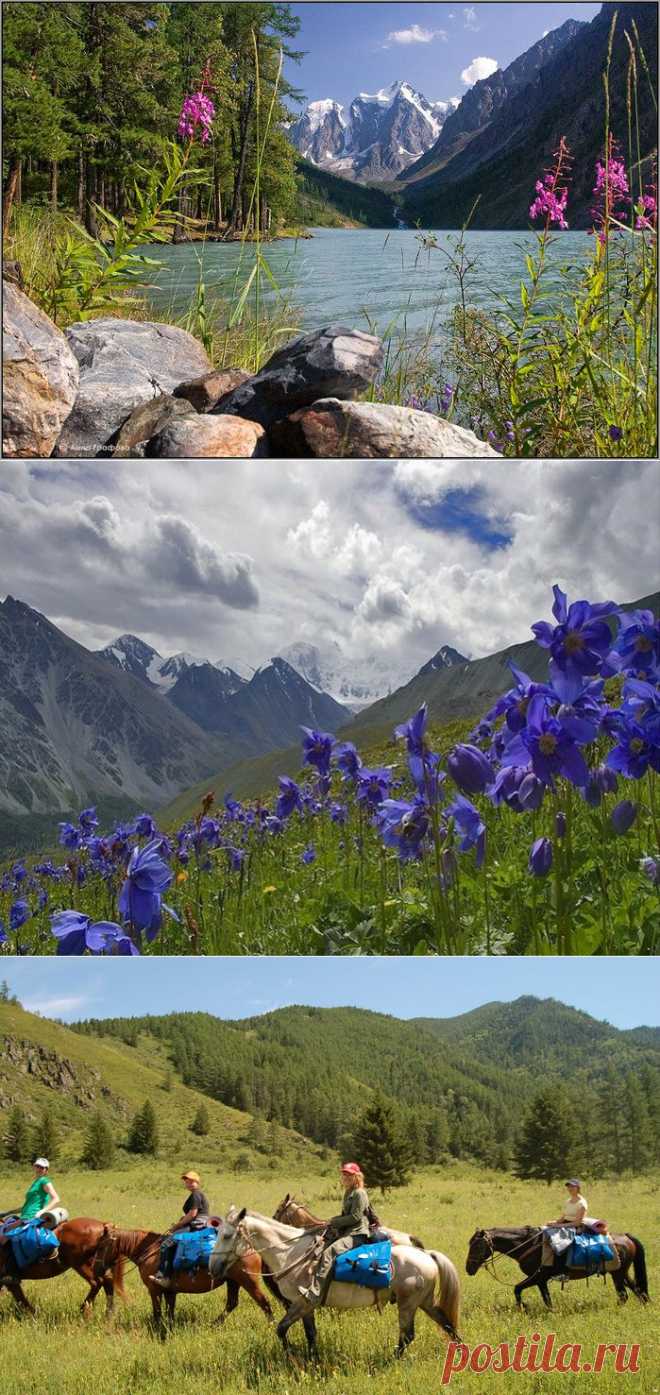 Алтай - мировая сокровищница.
