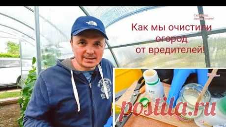ОТЛИЧНЫЙ ОГОРОД | Забудьте о вредителях на огороде! Тля, трипс, гусеницы- у нас их больше нет!