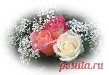 «Союз пенсионеров России» региональное отделение по Псковской области