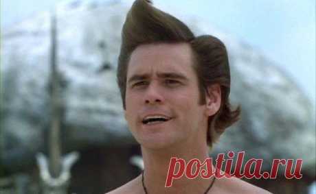 Если через 5 минут я не вернусь, значит подождёте.
Эйс Вентура