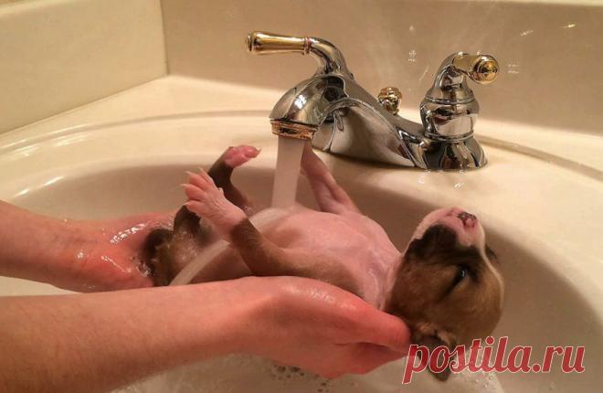 Самое время принять душ — Фото дня, 3 января 2015