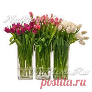 Что добавить в воду, чтобы тюльпаны дольше стояли