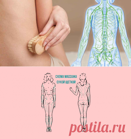 Массаж сухой щеткой: укрепляем лимфатическую систему! | Всегда в форме!