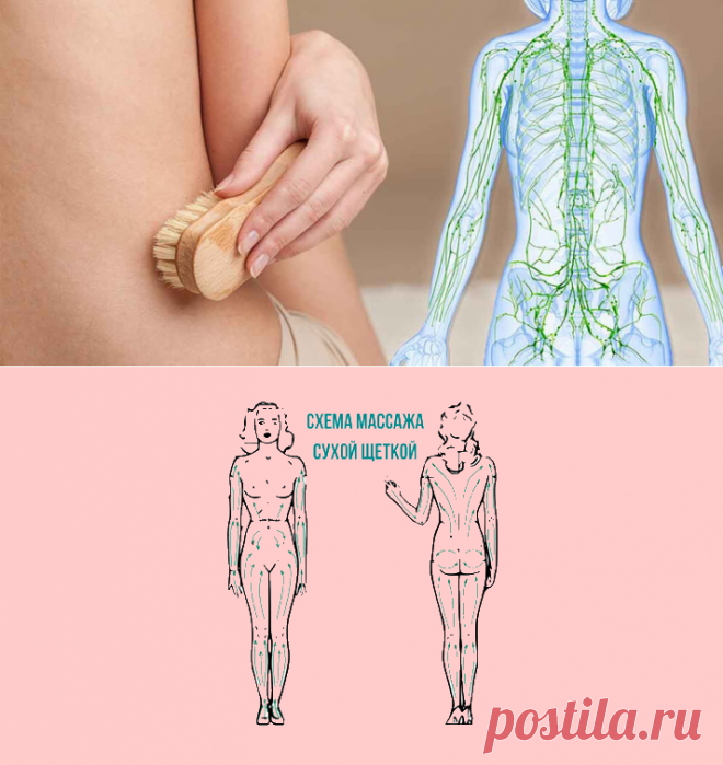Массаж сухой щеткой: укрепляем лимфатическую систему! | Всегда в форме!