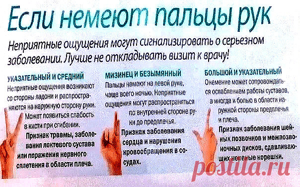 Народные средства против онемения рук и ног. Онемение рук — симптомы, которые могут сопровождать различные заболевания.


Поэтому очень важно сделать обследование и выявить причину онемения рук. Артрит, артроз, остеохондроз…. Причин может быть м…