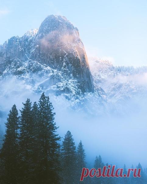 Йосемитский национальный парк в горах Сьерра-Невада в штате Калифорния. Именно в этом парке растут гигантские древние секвойи