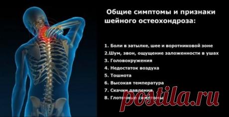 Сколько позвонков в шее человека? Ищите ответ здесь!