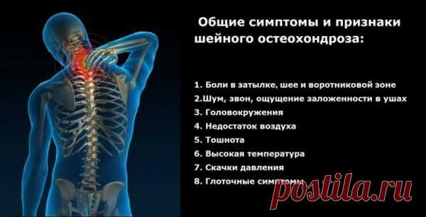 Сколько позвонков в шее человека? Ищите ответ здесь!