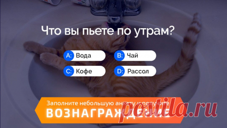 Работа в России на Карьерист.ру | Москва | СПБ