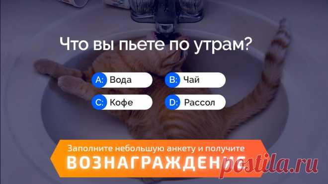 Работа в России на Карьерист.ру | Москва | СПБ