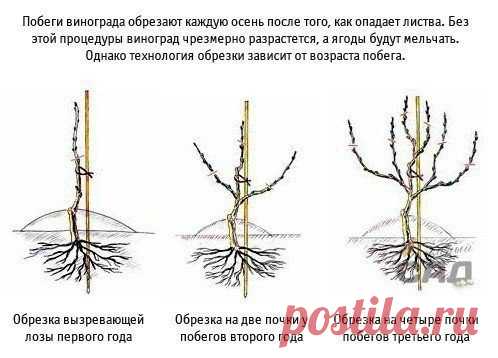 Дачник
http://vk.com/public134655935